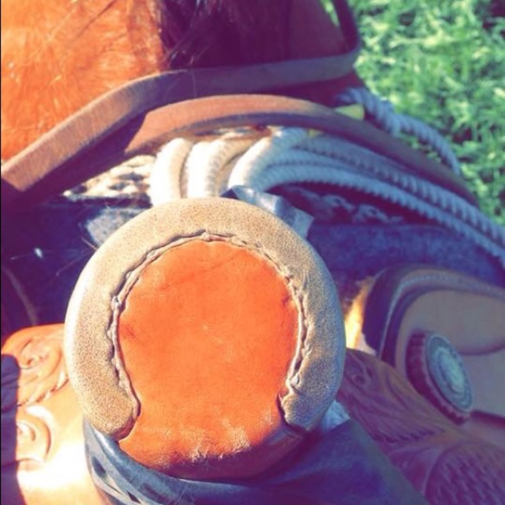 Meet your Posher, Haley